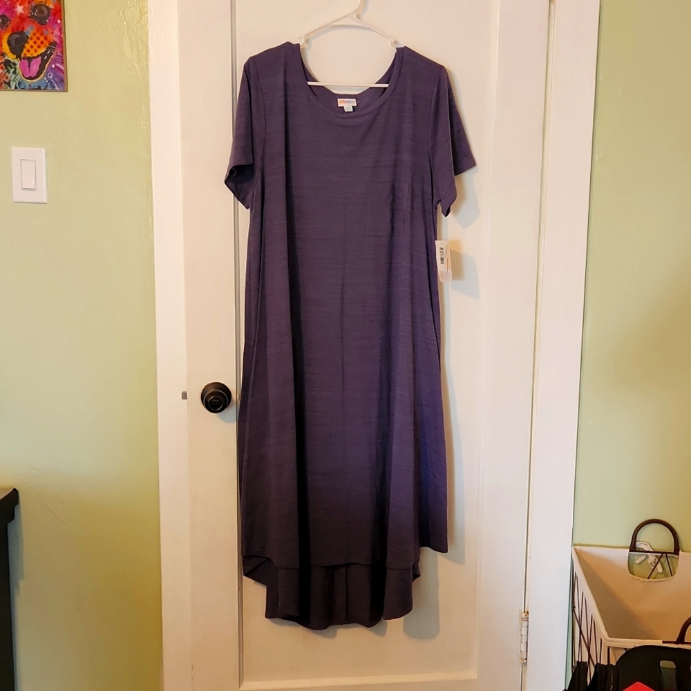 Carly swing dress